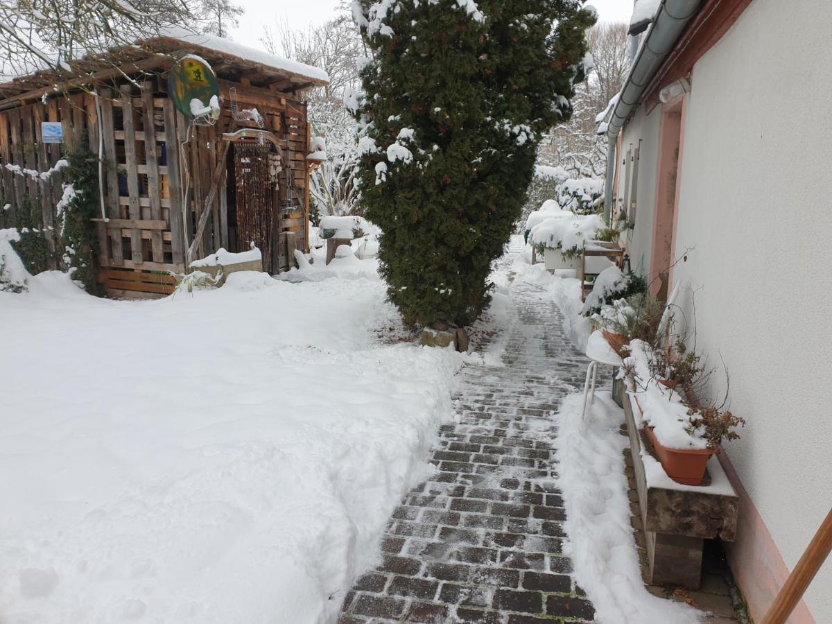Unser Obervolkacher Ferienhaus-Einfach Gemutlich! Buitenkant foto