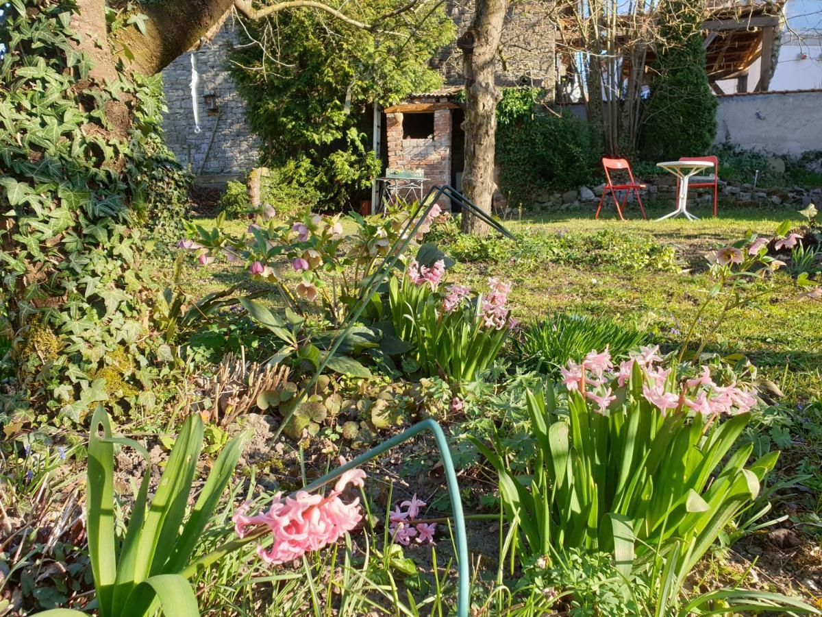 Unser Obervolkacher Ferienhaus-Einfach Gemutlich! Buitenkant foto