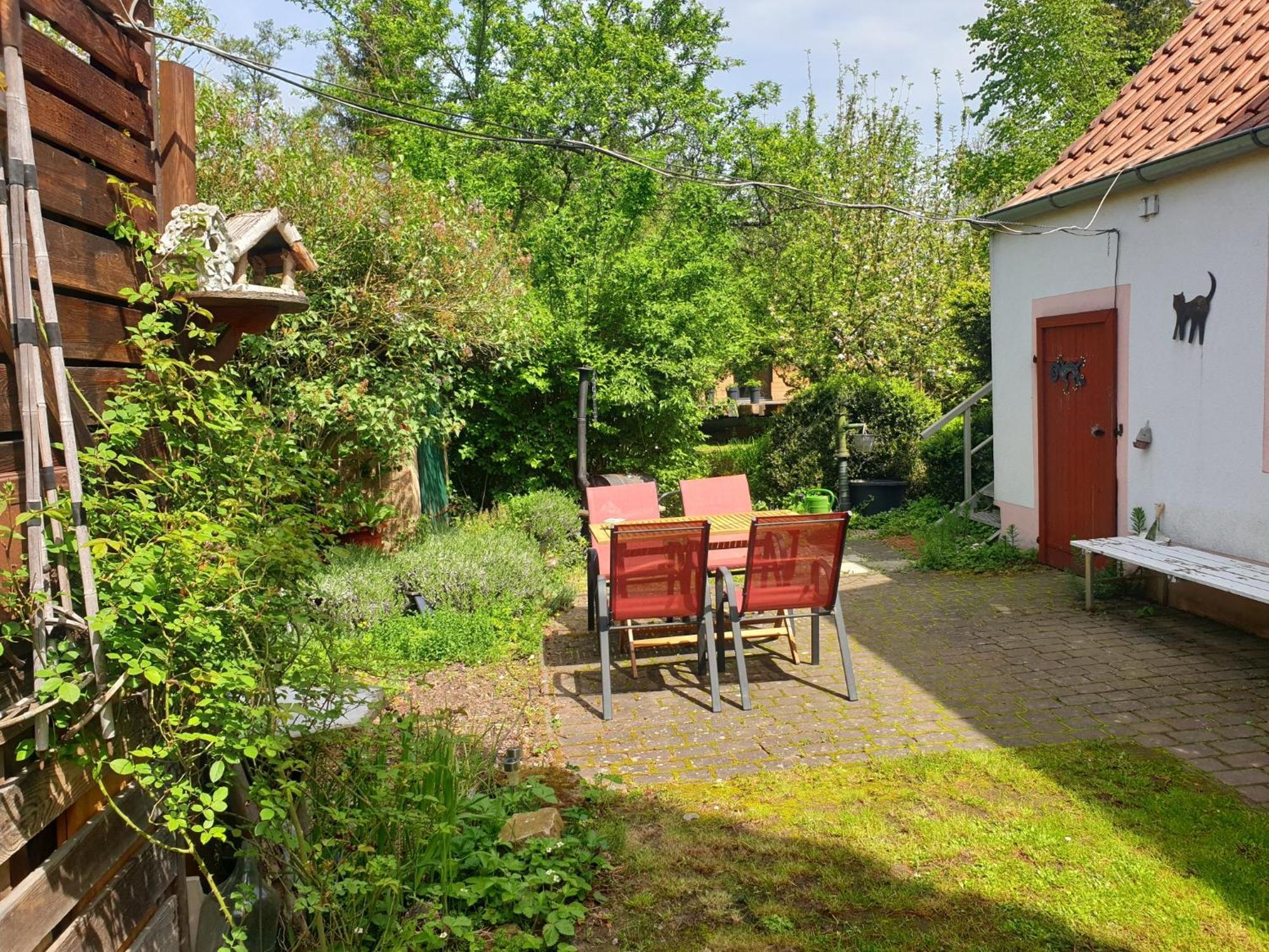 Unser Obervolkacher Ferienhaus-Einfach Gemutlich! Buitenkant foto